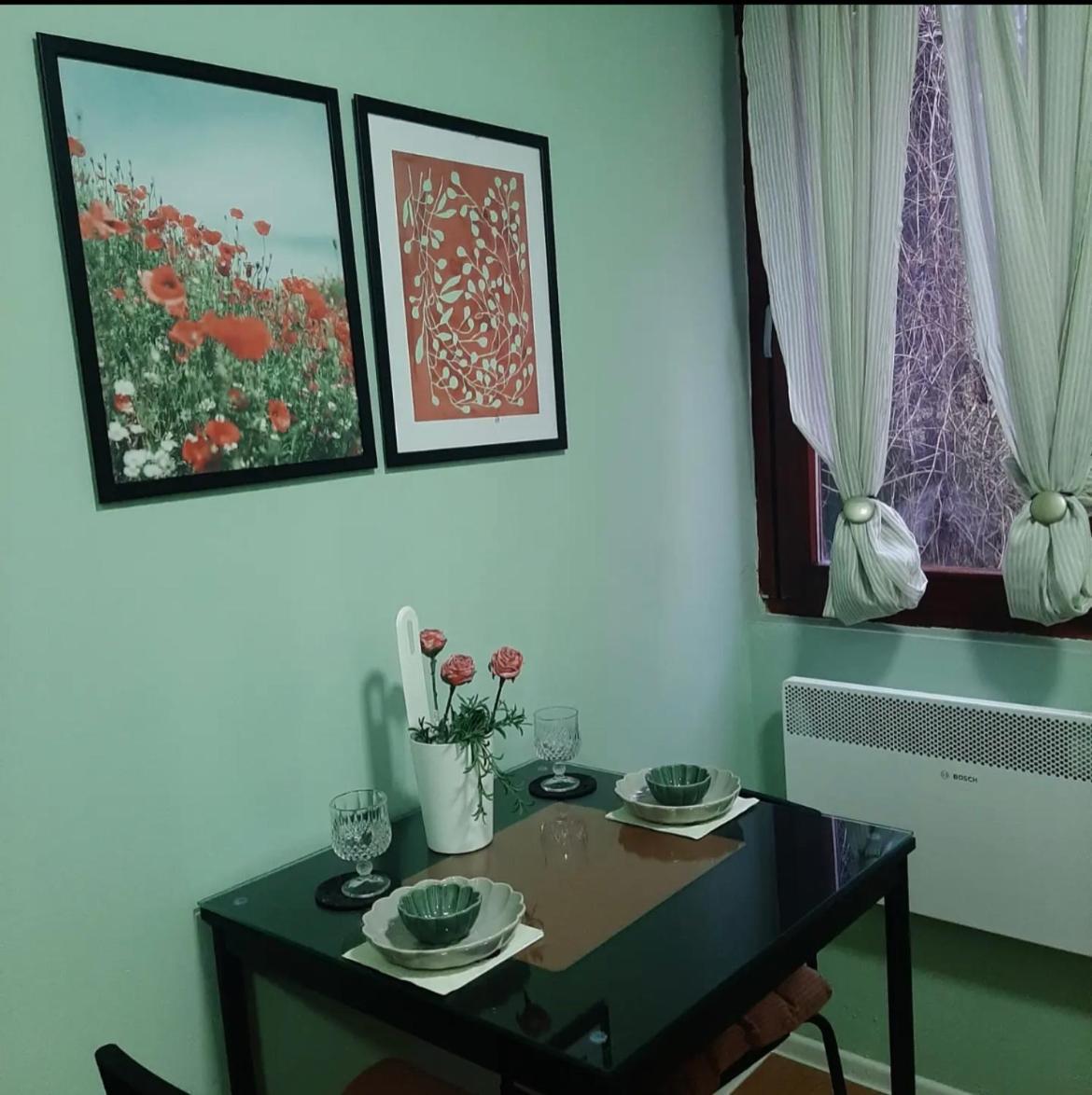 Apartman Ana 레스코바츠 외부 사진