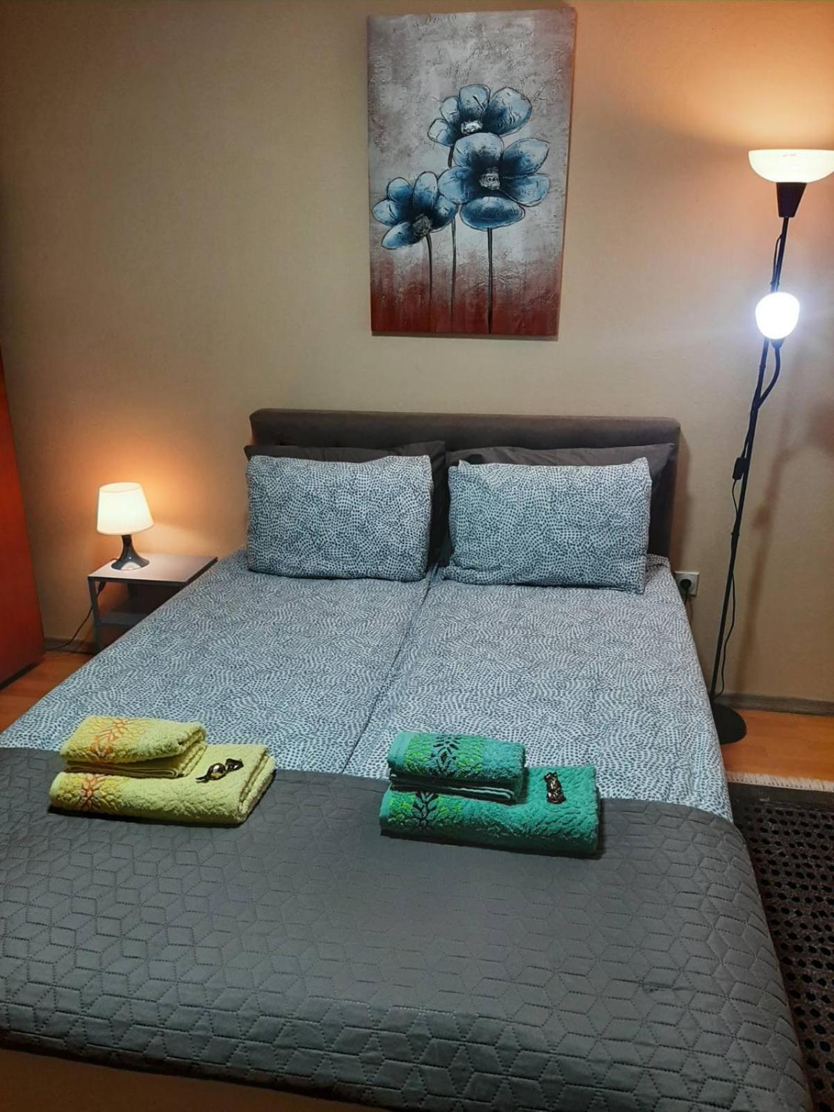 Apartman Ana 레스코바츠 외부 사진